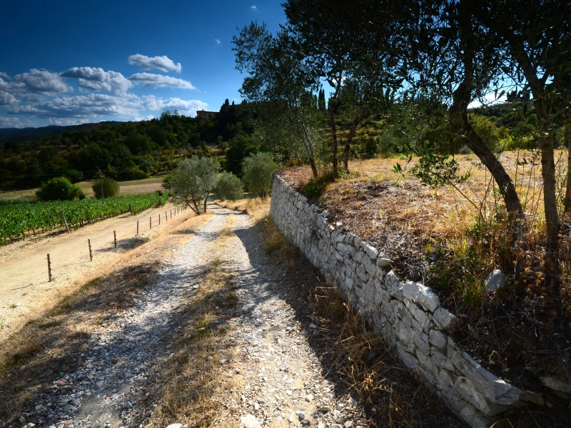 Más de 3.000 propietarios acaban en los juzgados cada año para defender los limites catastrales de sus propiedades.